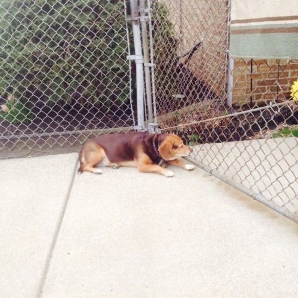 Meet your Posher, Chris - Picture 1 of 1